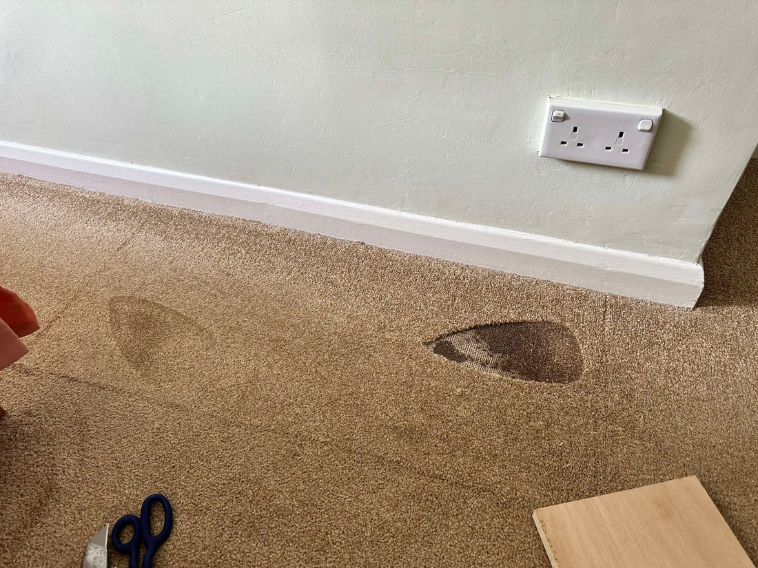 Carpet Repair - Iron Burn