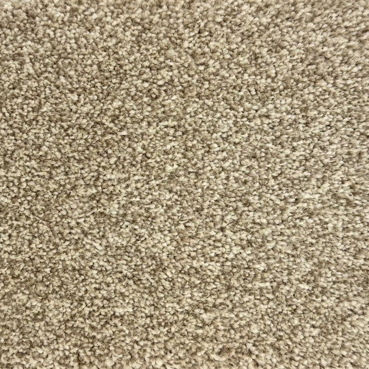 Surefit Gold FHD Saxony Carpet