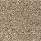 Surefit Gold FHD Saxony Carpet