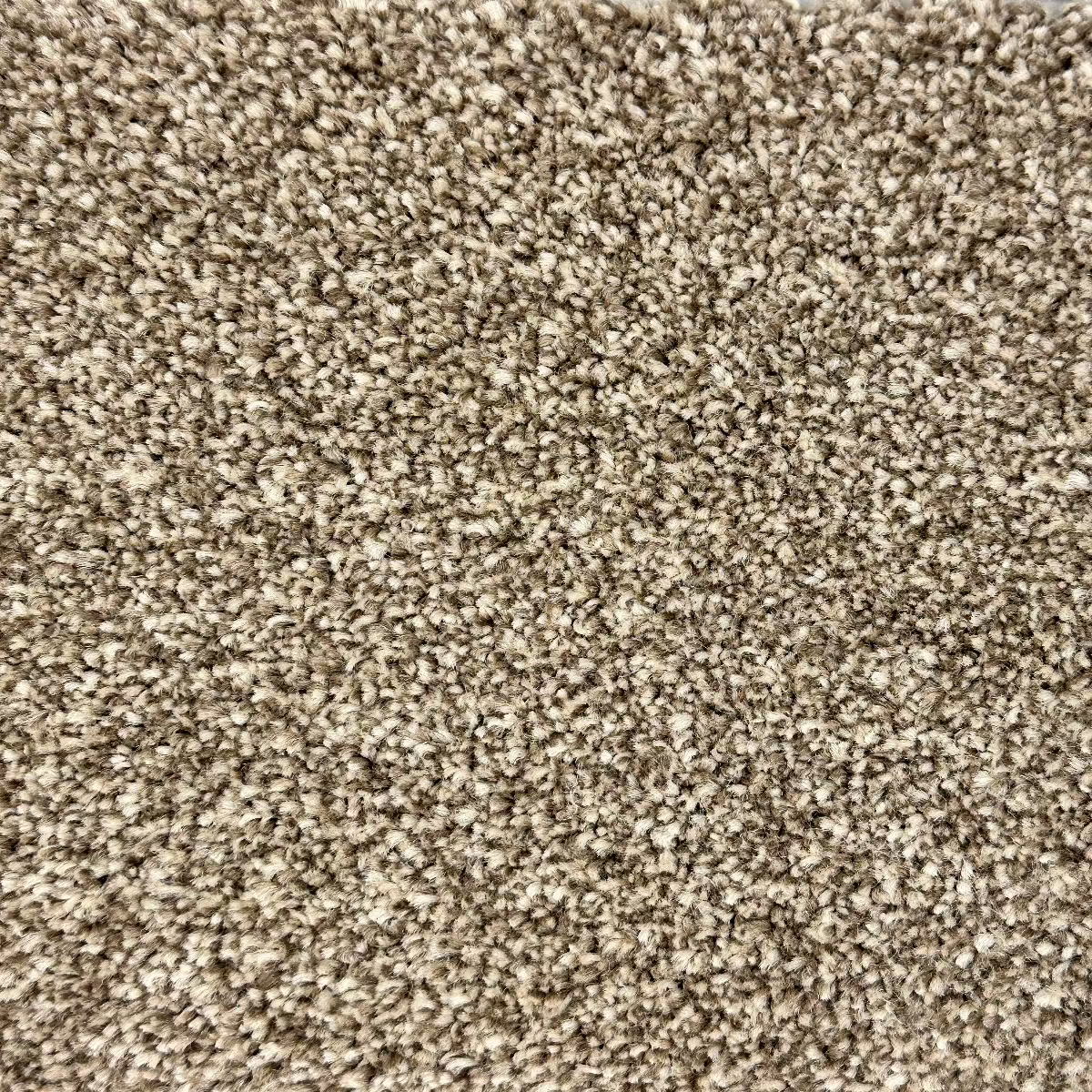 Surefit Gold FHD Saxony Carpet