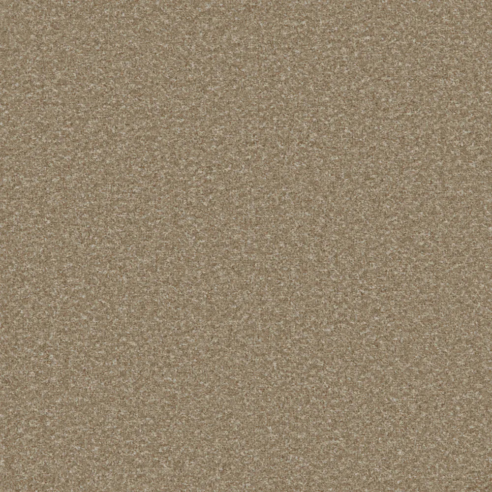 Regency Fairway Light Taupe