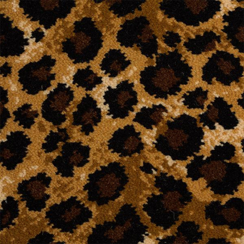 Hugh Mackay Safari Leopard