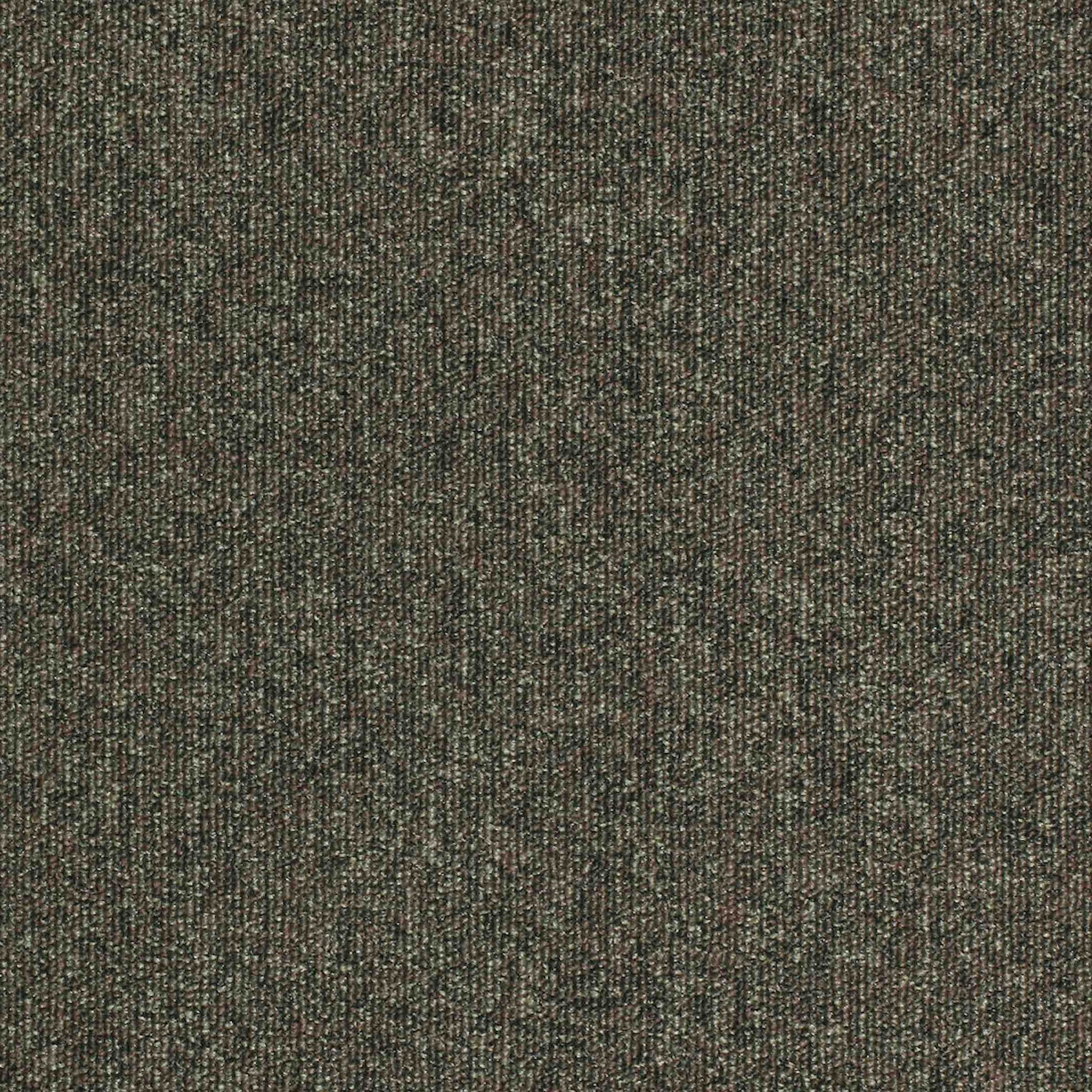 Paragon Carpet Tiles Workspace Loop Pampas