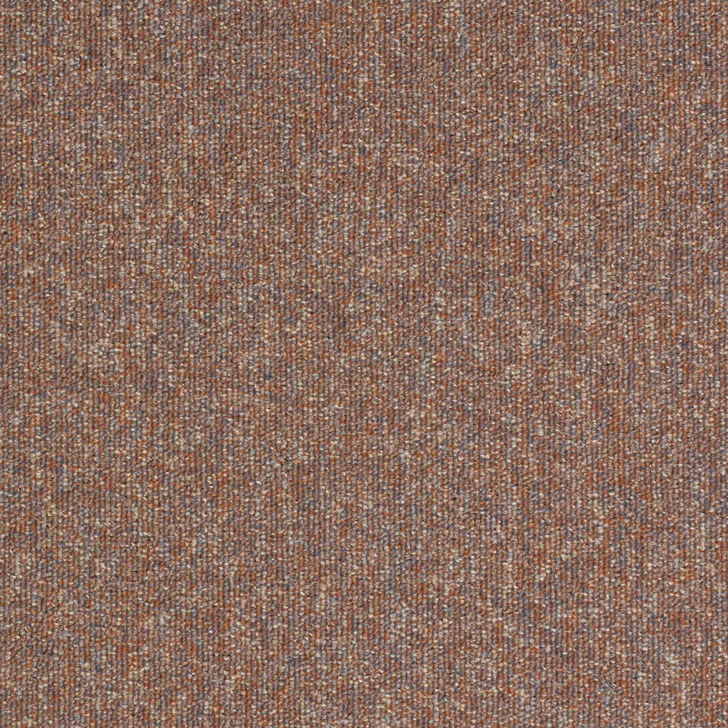 Paragon Carpet Tiles Workspace Loop Sandstone