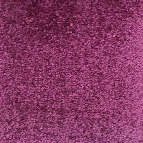 Buy Invicta Stain Resistant Carpet | Surefit Carpets Doncaster