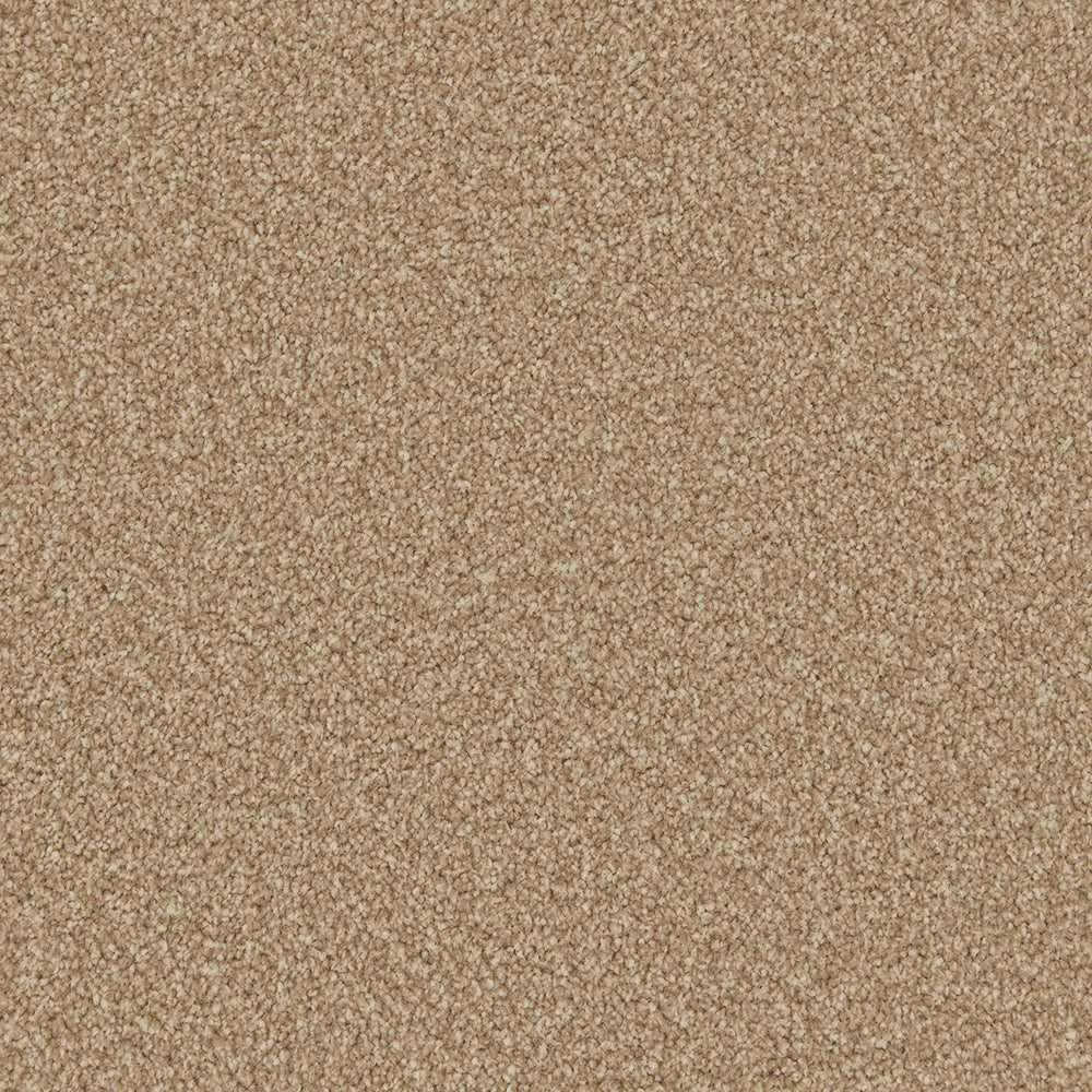 Cormar Carpets Apollo Plus Stepping Stone