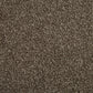 Cormar Carpets Primo Choice Brazil Nut