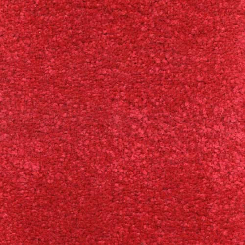 Invicta Stain Resistant Carpet