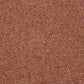 Charter Berber Deluxe Carpet