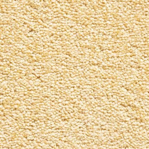 Invicta Stain Resistant Carpet