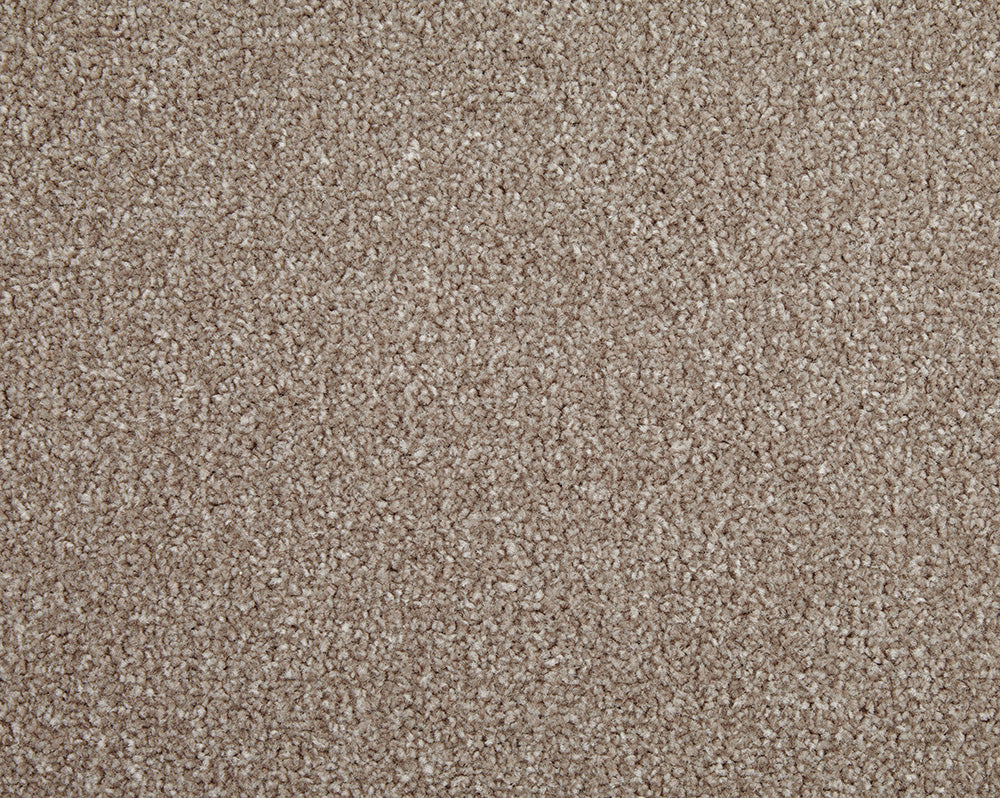 Cormar Carpets Primo Choice Cookie