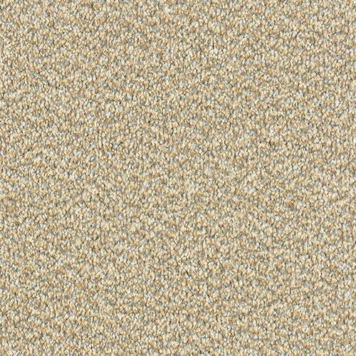 Stainfree Tweed Carpet