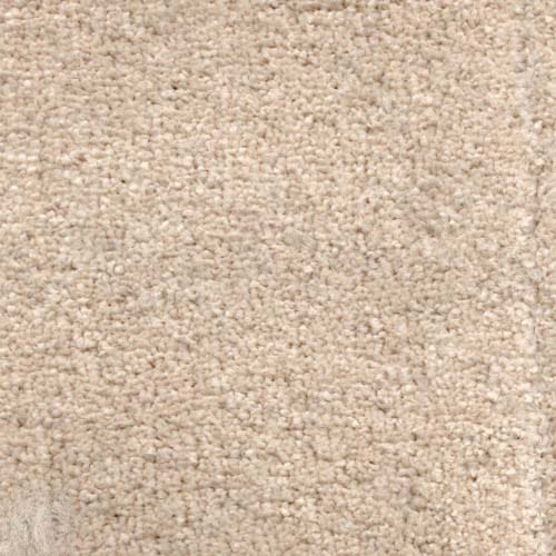 Invicta Stain Resistant Carpet