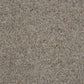 Charter Berber Deluxe Carpet