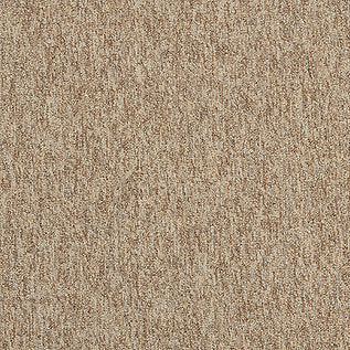 Interface Employ Loop Carpet Tile Caramel