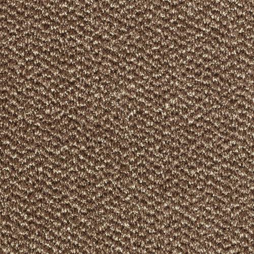 Stainfree Tweed Carpet