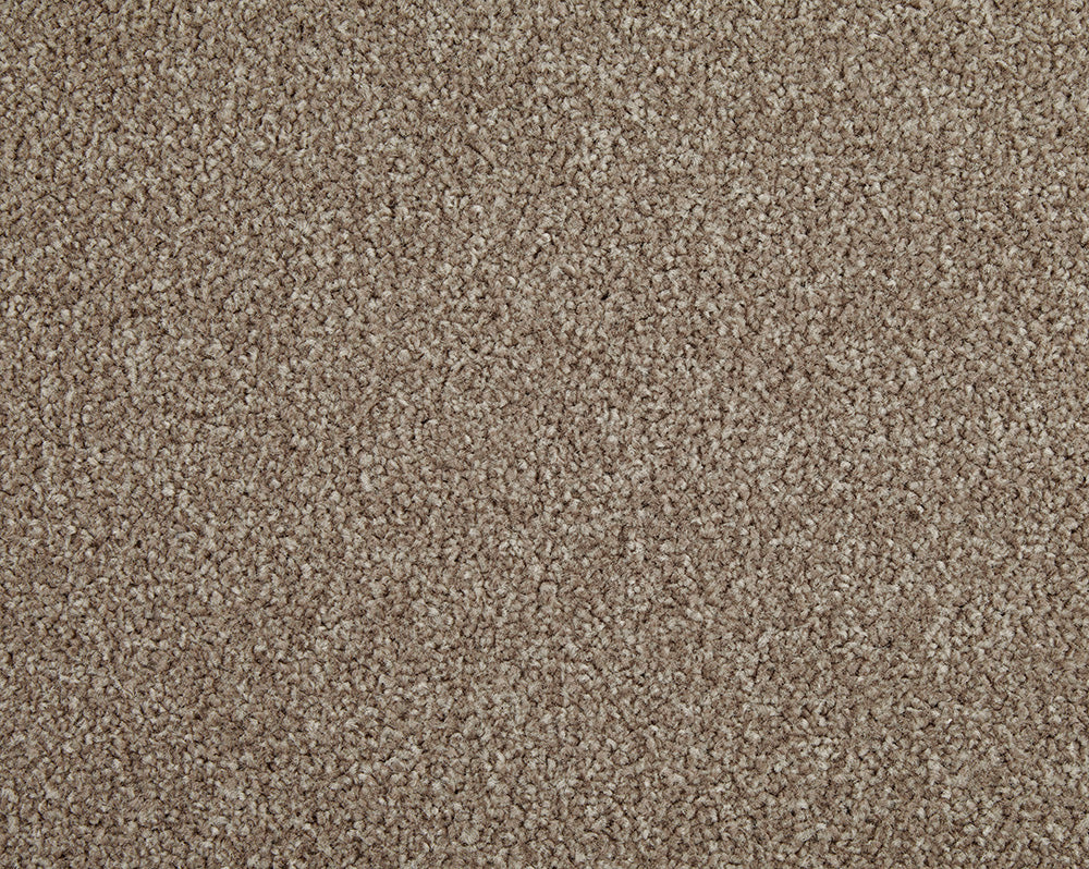 Cormar Carpets Primo Choice Filbert