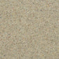 Charter Berber Deluxe Carpet