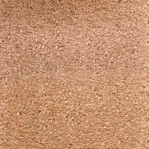 Invicta Stain Resistant Carpet