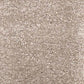 Invicta Stain Resistant Carpet