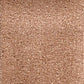 Invicta Stain Resistant Carpet