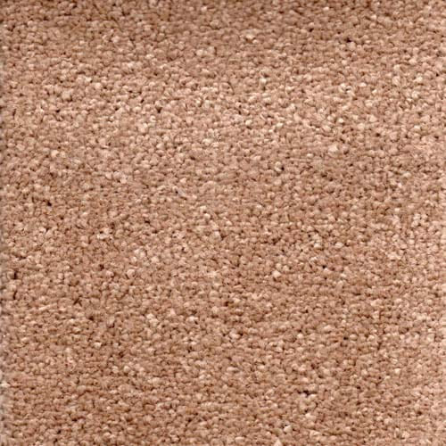 Invicta Stain Resistant Carpet