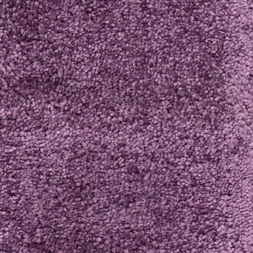 Invicta Stain Resistant Carpet