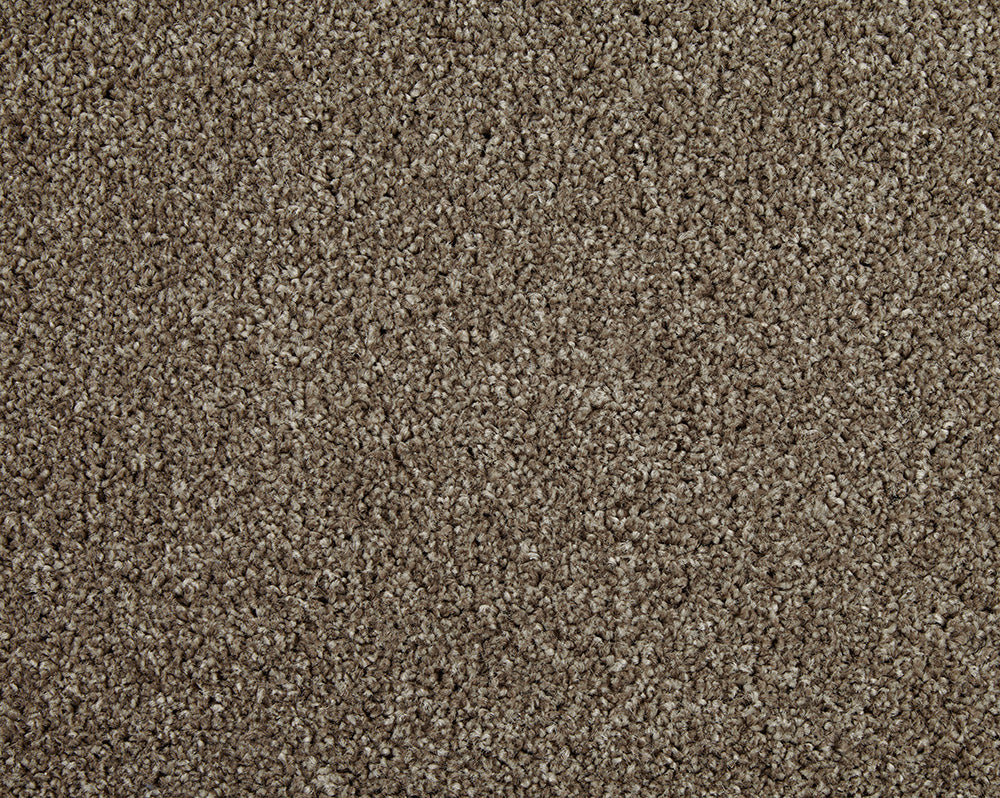 Cormar Carpets Primo Choice Mustang