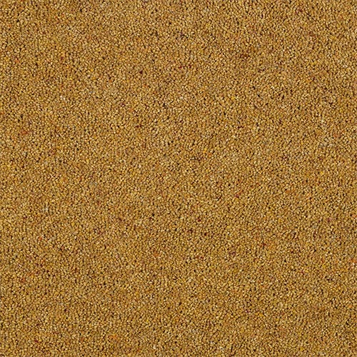 Charter Berber Deluxe Carpet