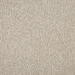 Cormar Carpets Primo Plus Pannacotta