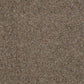 Charter Berber Deluxe Carpet