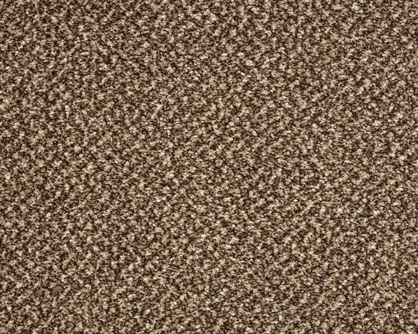 Primo Tweed Easy Clean Carpet