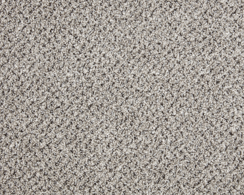 Primo Tweed Easy Clean Carpet