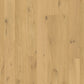 Amato Hardwood Flooring Pure Oak