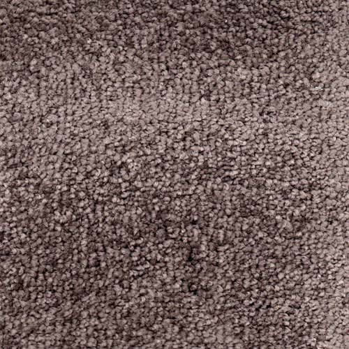 Invicta Stain Resistant Carpet