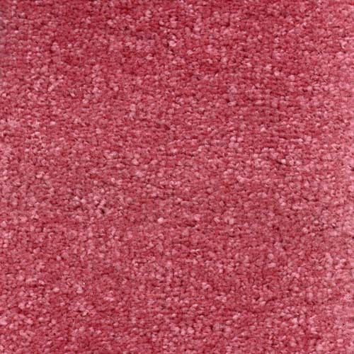 Invicta Stain Resistant Carpet