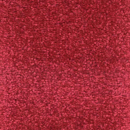 Invicta Stain Resistant Carpet