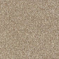 Rustique Deluxe Carpet