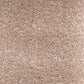 Invicta Stain Resistant Carpet