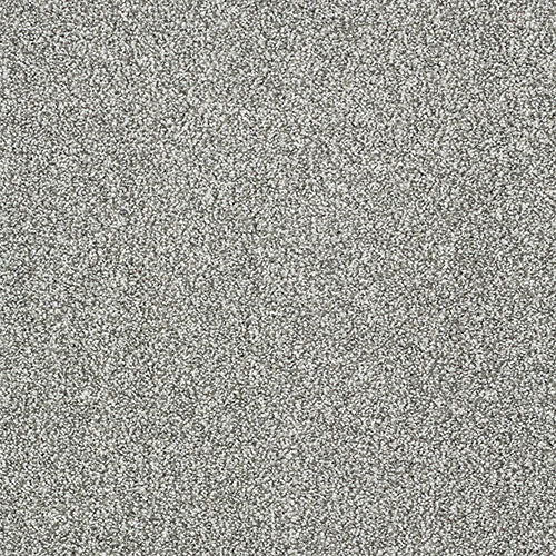 Indulgence Carpet