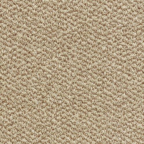 Stainfree Tweed Carpet