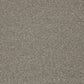 Cormar Carpets Primo Plus Theakston Taupe