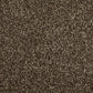 Cormar Carpets Primo Choice Truffle