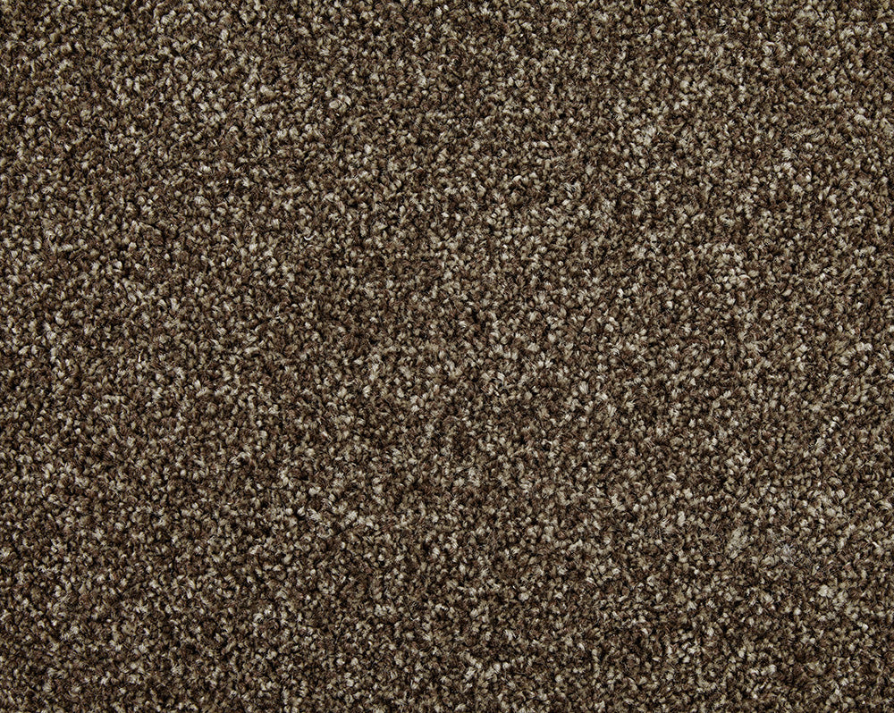 Cormar Carpets Primo Choice Truffle