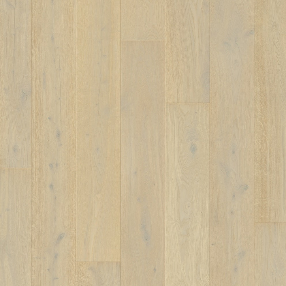 Massimo Hardwood Flooring White Daisy Oak