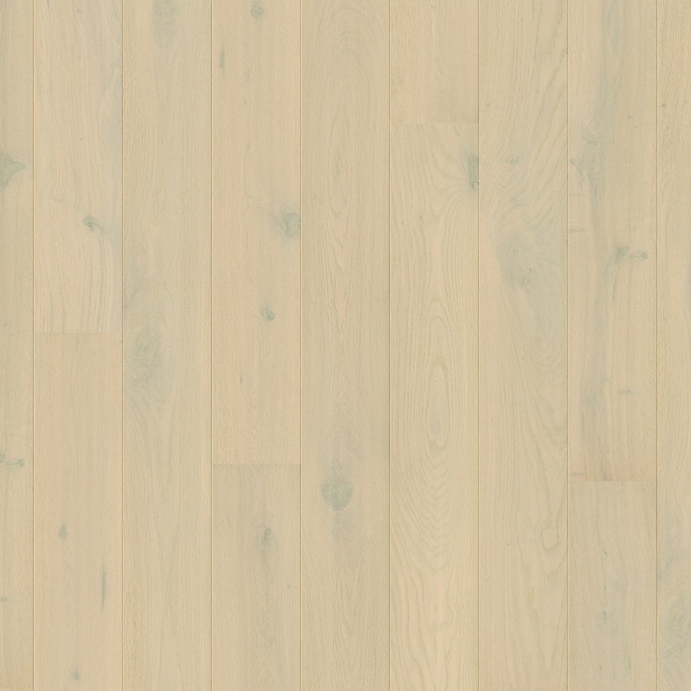 Amato Hardwood Flooring Wintry Forest