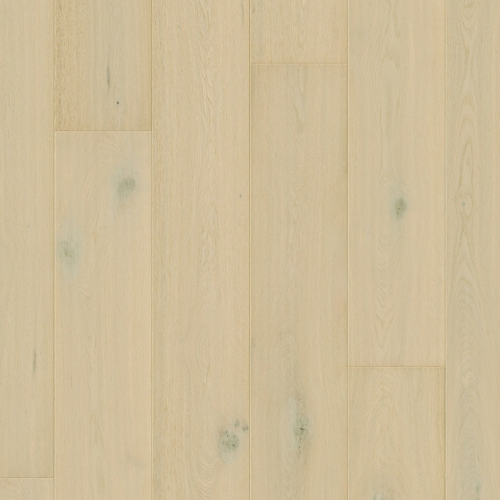 Cala Hardwood Flooring Wintry Forest Oak