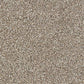 Rustique Deluxe Carpet